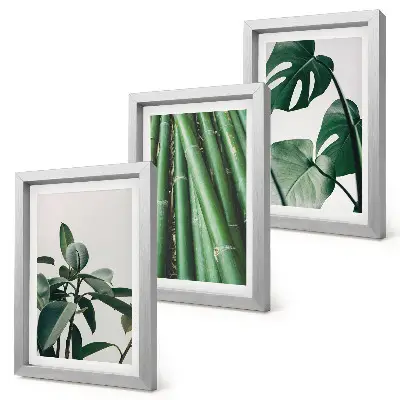 3-Piece wall art set bamboo stems and monstera leaves