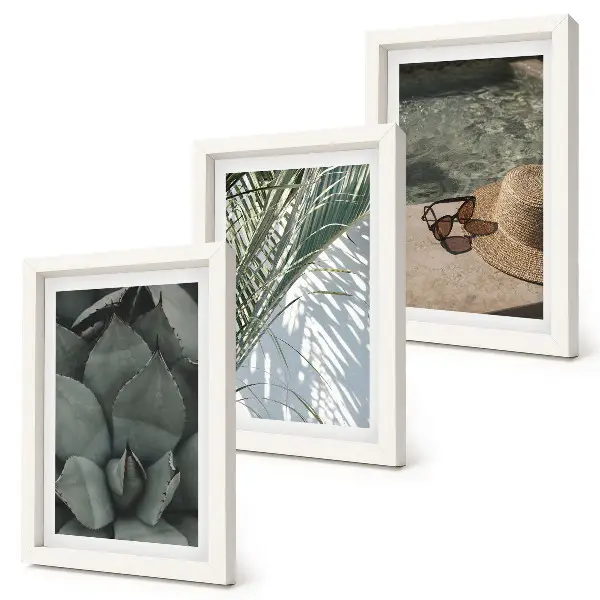Photo frame wall with tropical plants and summer holiday accents
