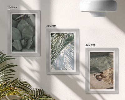 Photo frame wall Tropical plants and summer holiday accents