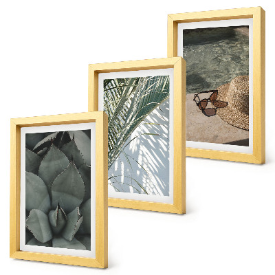 Photo frame wall Tropical plants and summer holiday accents