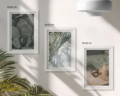 Photo frame wall with tropical plants and summer holiday accents