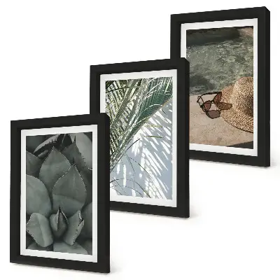 Photo frame wall with tropical plants and summer holiday accents