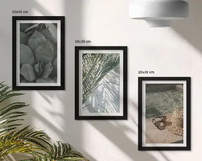 Photo frame wall with tropical plants and summer holiday accents
