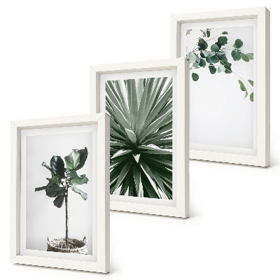 3-piece wall art set Green plants in a minimalist style