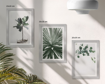 3-piece wall art set Green plants in a minimalist style