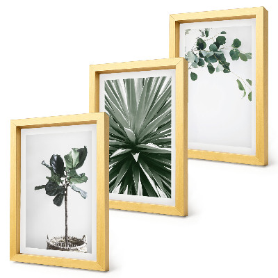 3-piece wall art set Green plants in a minimalist style