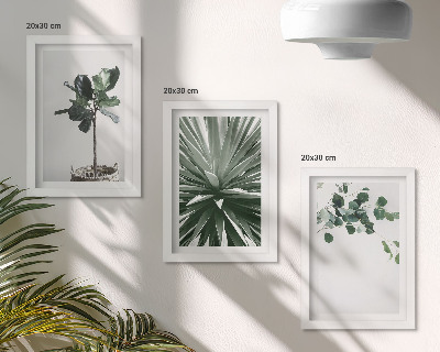 3-piece wall art set Green plants in a minimalist style