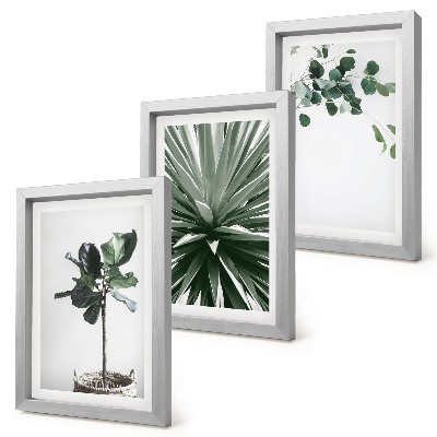 3-piece wall art set Green plants in a minimalist style