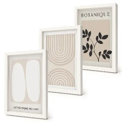 3-piece wall art set boho abstract plant posters