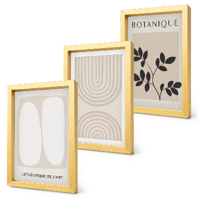 3-piece wall art set Boho delicate posters abstract plant motifs