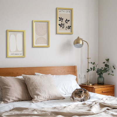 3-piece wall art set Boho delicate posters abstract plant motifs