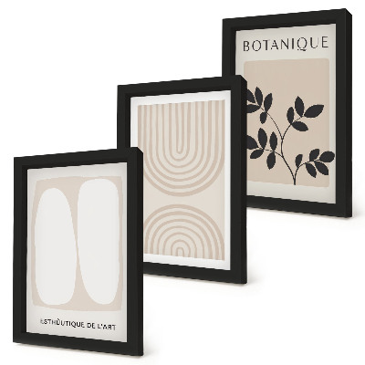 3-piece wall art set Boho delicate posters abstract plant motifs