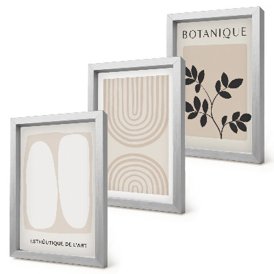3-piece wall art set Boho delicate posters abstract plant motifs