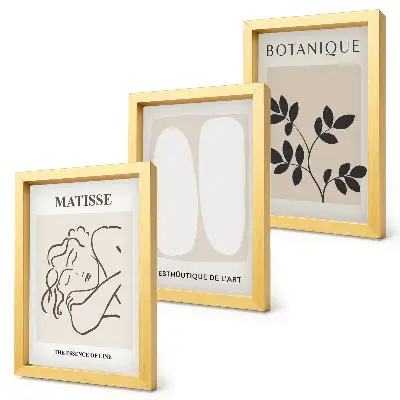 Matisse-inspired plant motif triptych framed minimalist wall art set