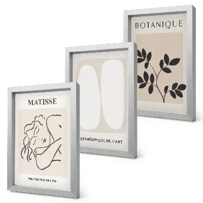 Matisse-inspired plant motif triptych framed minimalist wall art set