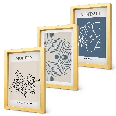 3-Piece abstract floral wall art set posters with flowers, lines, and abstract shapes