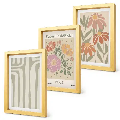 3-piece botanical wall art set minimalist Parisian style poster prints