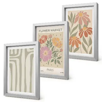 3-piece botanical wall art set minimalist Parisian style poster prints