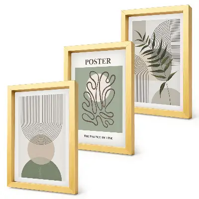 Framed triptych Geometric abstract botanical patterns poster