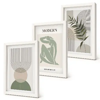 3-piece wall art set Stylish graphics with abstract shapes and plants