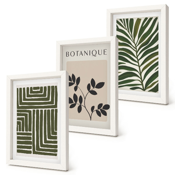 3-piece wall art set Botanical compositions in the style of boho minimalism