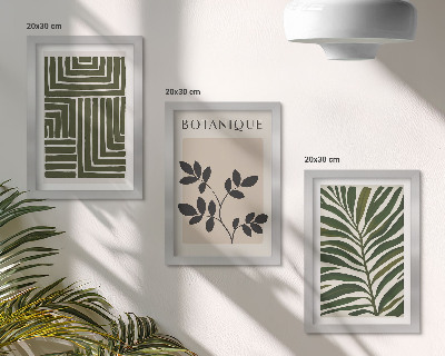 3-piece wall art set Botanical compositions in the style of boho minimalism