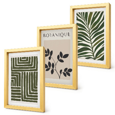 3-piece wall art set Botanical compositions in the style of boho minimalism