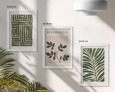 3-Piece wall art set botanical compositions in a boho minimalist style