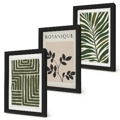 3-Piece wall art set botanical compositions in a boho minimalist style