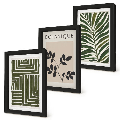 3-piece wall art set Botanical compositions in the style of boho minimalism