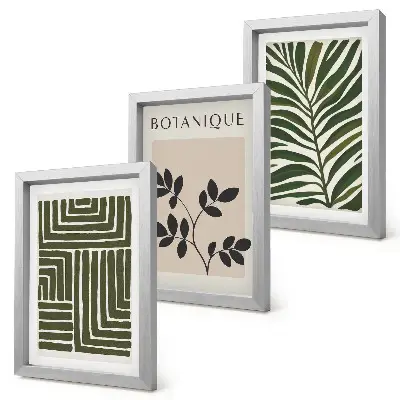 3-Piece wall art set botanical compositions in a boho minimalist style