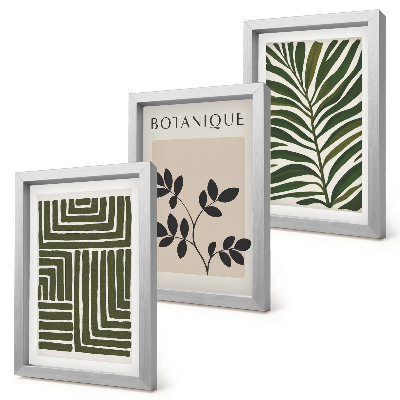 3-piece wall art set Botanical compositions in the style of boho minimalism