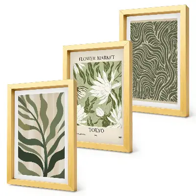 3-piece botanical wall art set featuring boho plant patterns