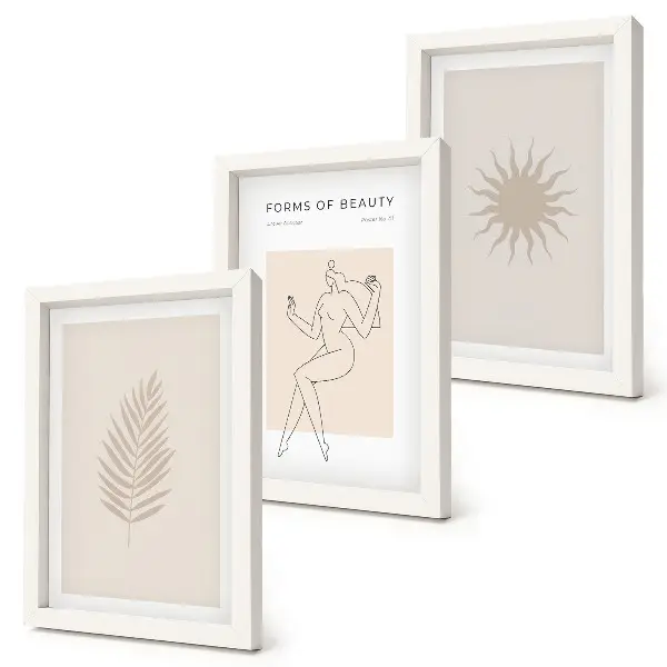 Photo frame wall featuring a collection of minimalist forms and natural shapes