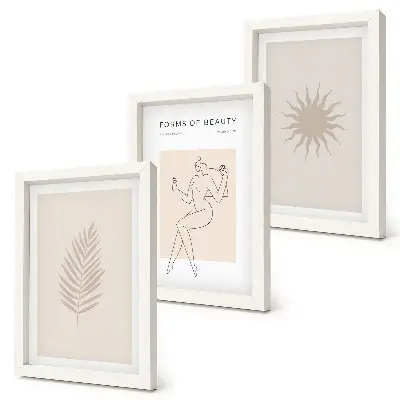 Photo frame wall featuring a collection of minimalist forms and natural shapes