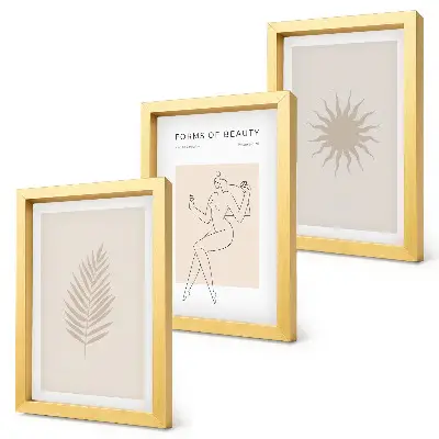 Photo frame wall featuring a collection of minimalist forms and natural shapes