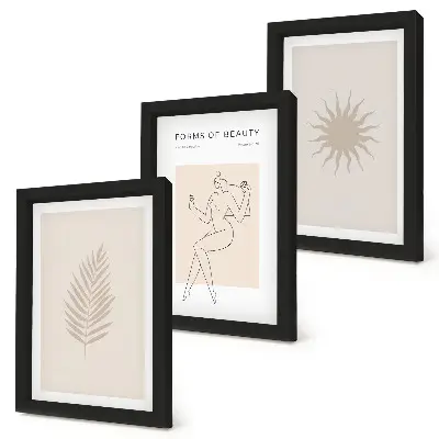 Photo frame wall featuring a collection of minimalist forms and natural shapes