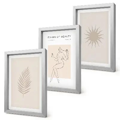 Photo frame wall featuring a collection of minimalist forms and natural shapes