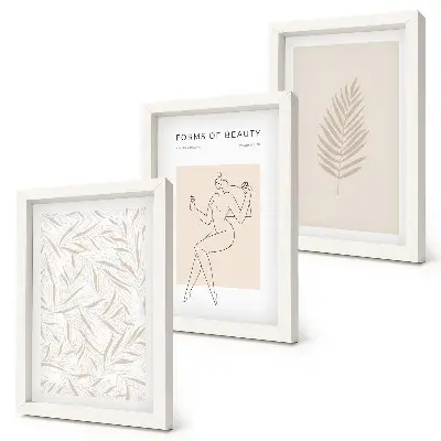 Minimalist botanical design motifs framed triptych