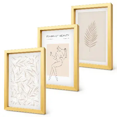Minimalist botanical design motifs framed triptych