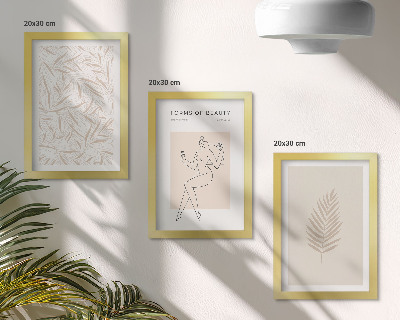 Framed triptych Minimalist botanical design motifs