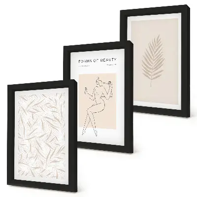 Minimalist botanical design motifs framed triptych