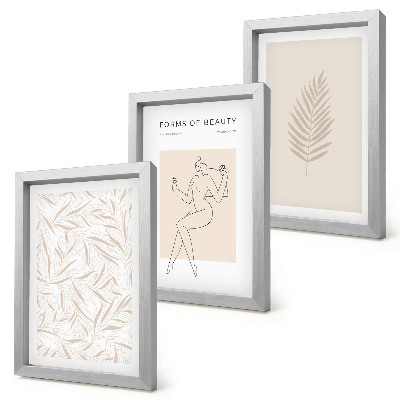 Framed triptych Minimalist botanical design motifs