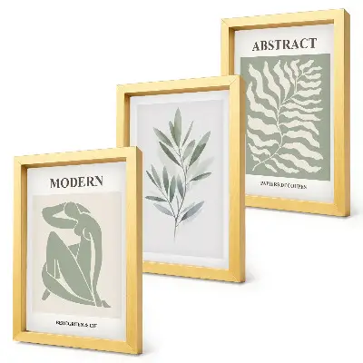 Matisse watercolor boho plant triptych framed art set