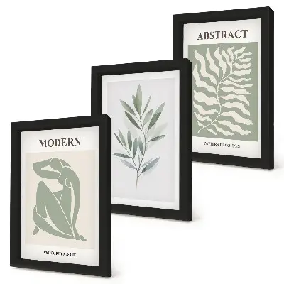 Matisse watercolor boho plant triptych framed art set