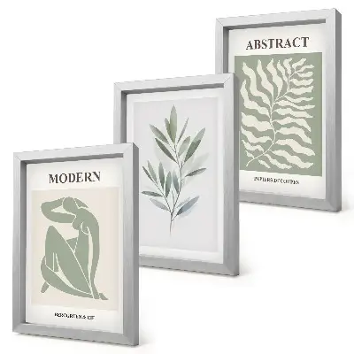 Framed triptych Matisse design watercolor boho plants