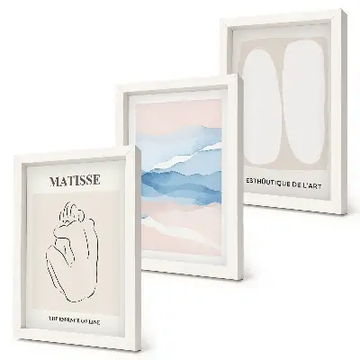 Framed triptych Matisse's abstract forms and delicate colors