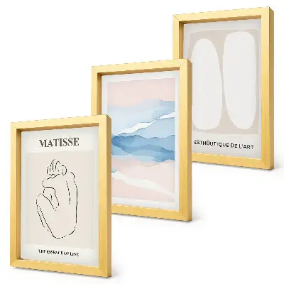 Framed triptych Matisse's abstract forms and delicate colors