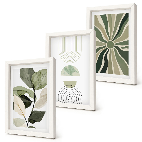 3-piece wall art set Plant motifs with geometric shapes in green