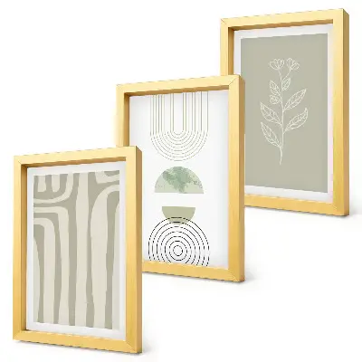 Photo frame wall with geometric patterns and green plant accents